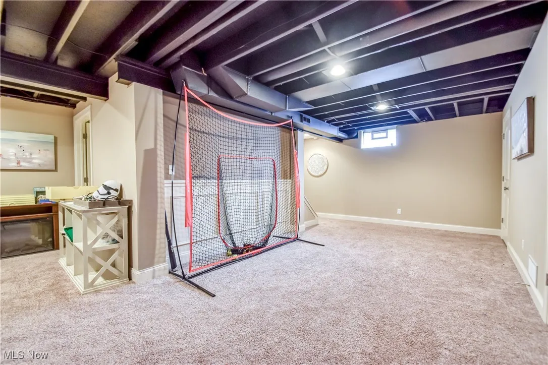 Basement featuring carpet