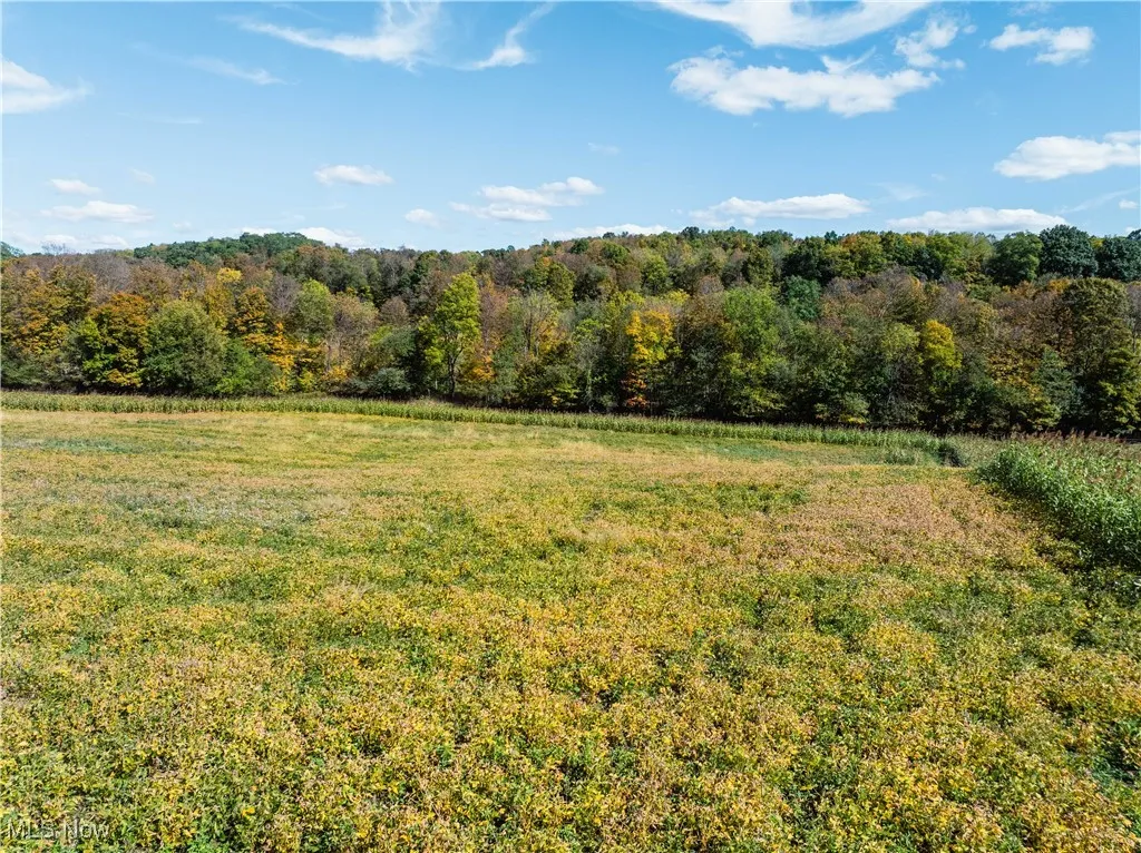 View of green lawn featuring a view of countryside and a forest view