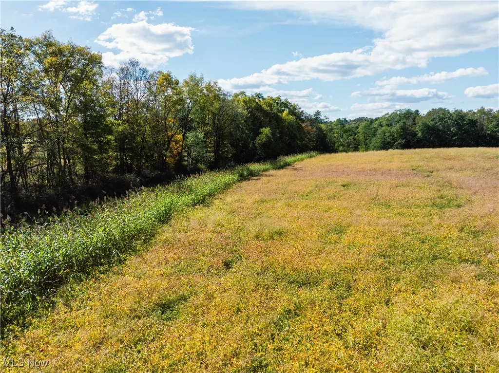 View of wooded area