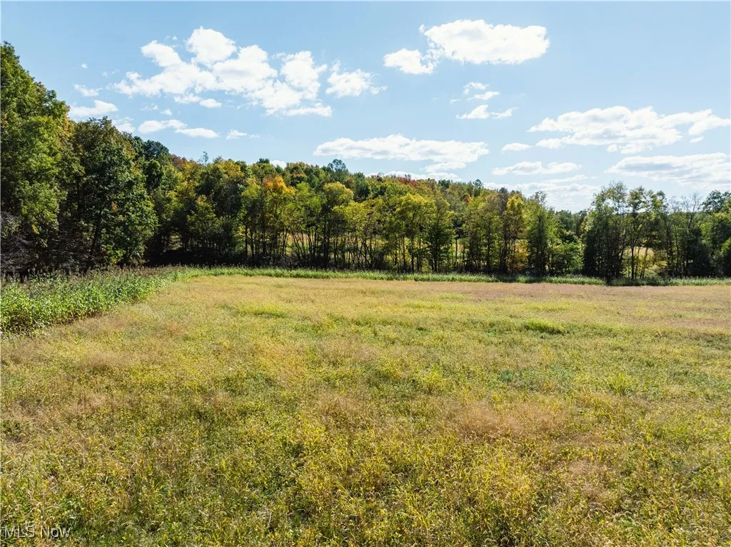 View of yard featuring a view of trees and a view of countryside