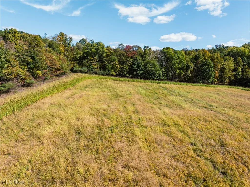 View of yard with a wooded view and a view of rural / pastoral area