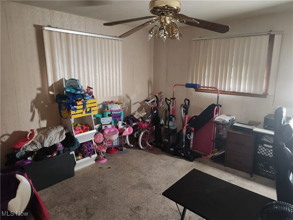 Game room featuring ceiling fan and carpet