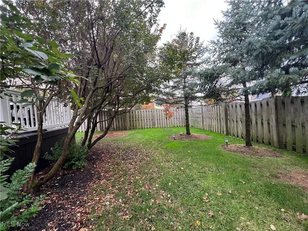 Fenced-in Backyard