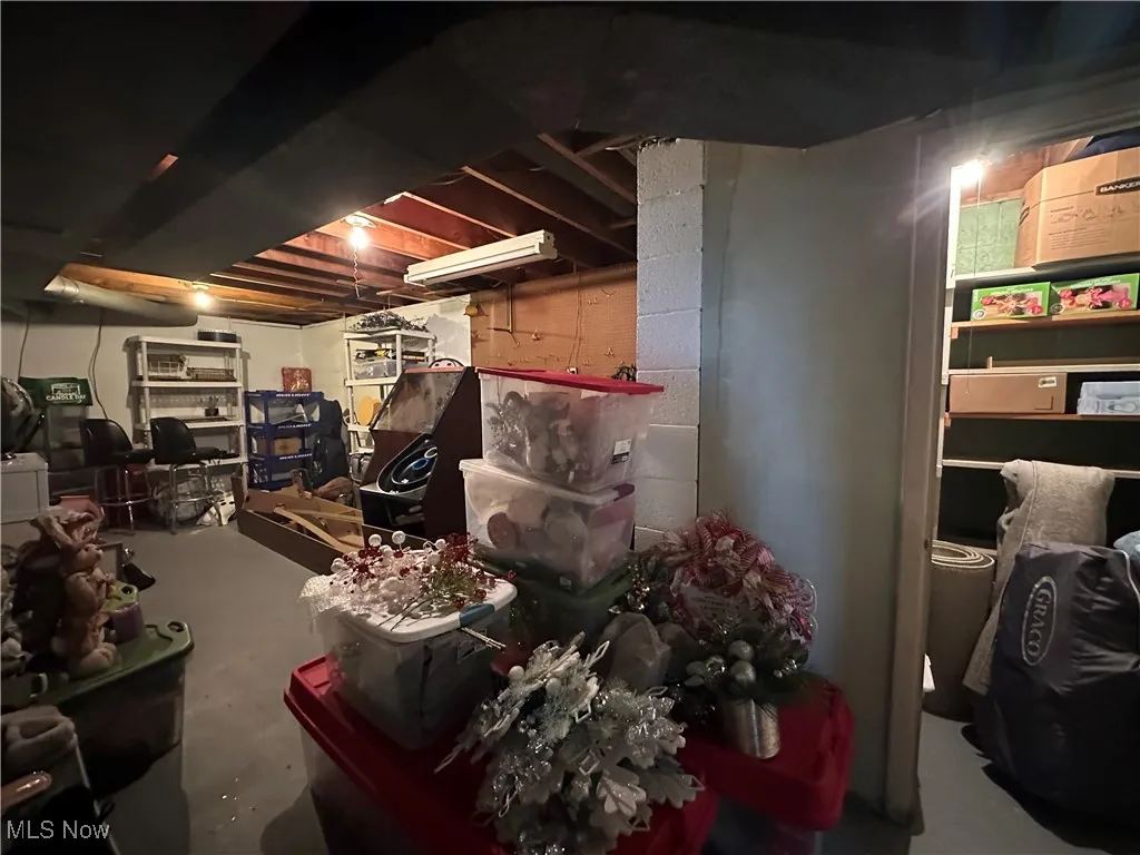 View of unfinished basement