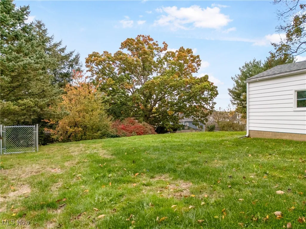 View of grassy yard