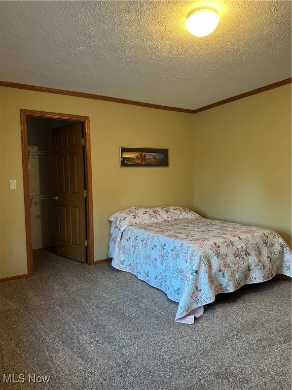 Carpeted bedroom #3 featuring ornamental molding, a textured ceiling, and a walk in closet