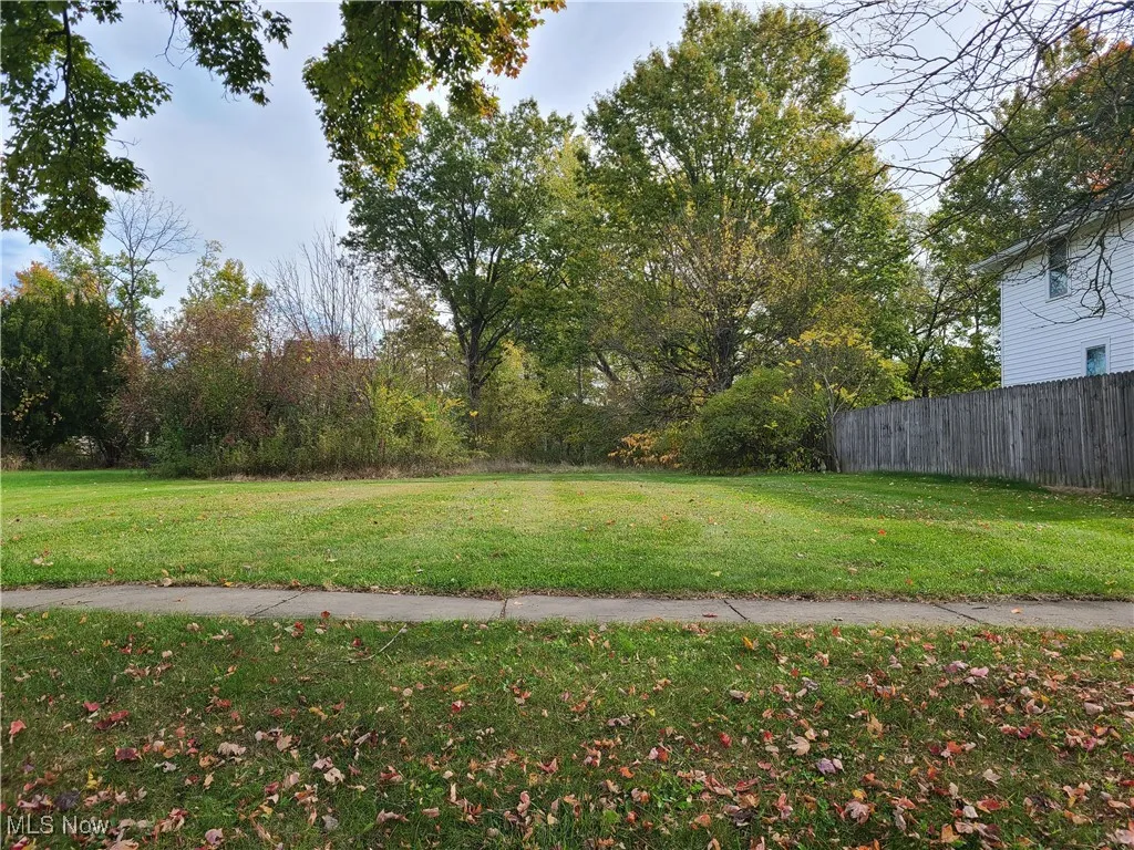 Buildable clear, level lot.