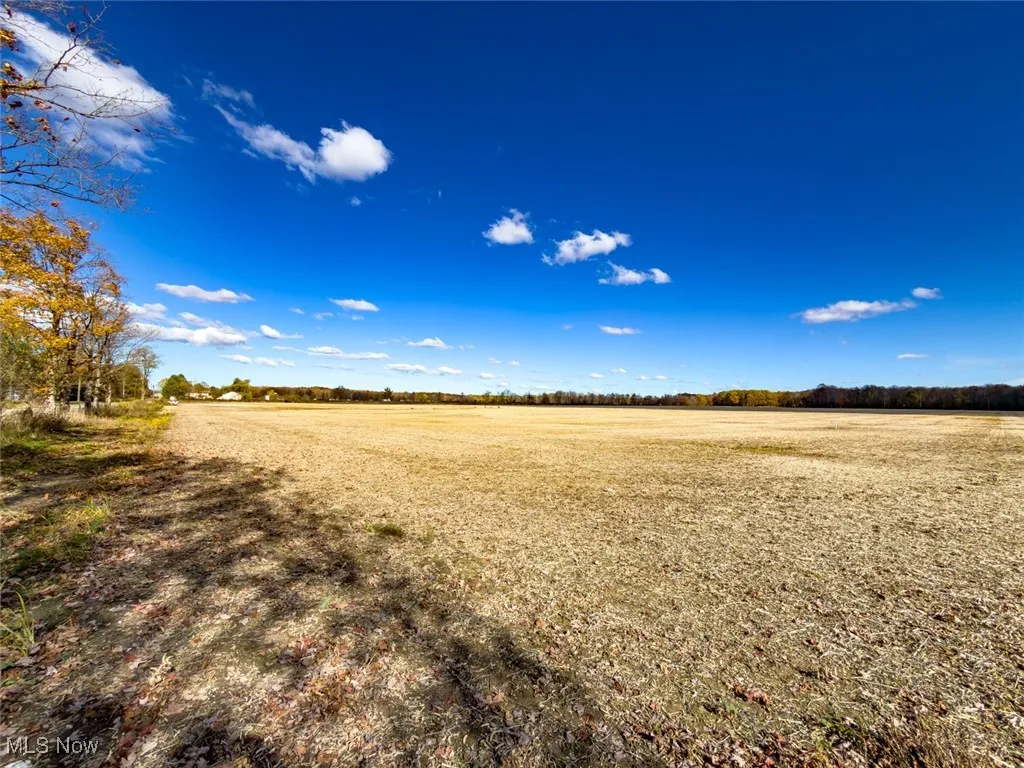 View of undeveloped land featuring rural landscape