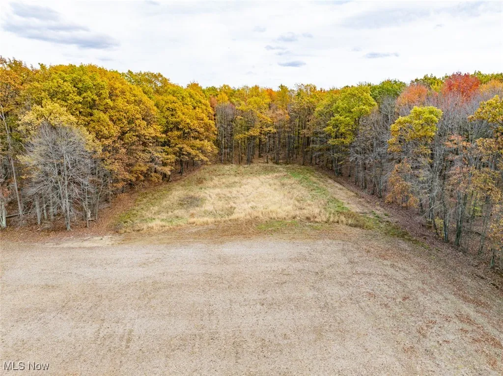 View of yard featuring a forest view