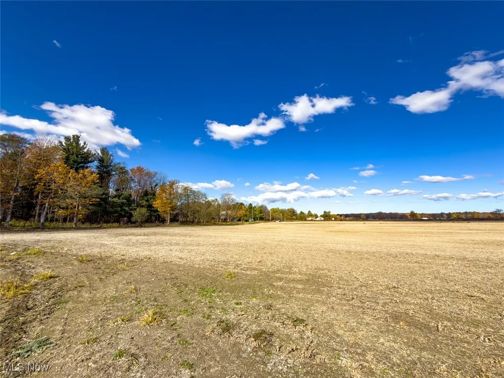 View of undeveloped land featuring rural landscape