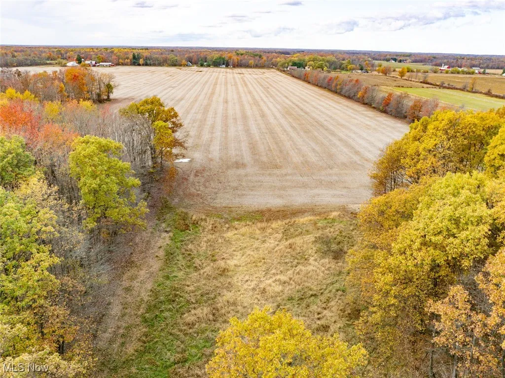 Overview of rural landscape featuring abundant farmland