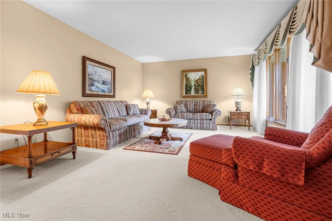 Carpeted living with large window & natural light