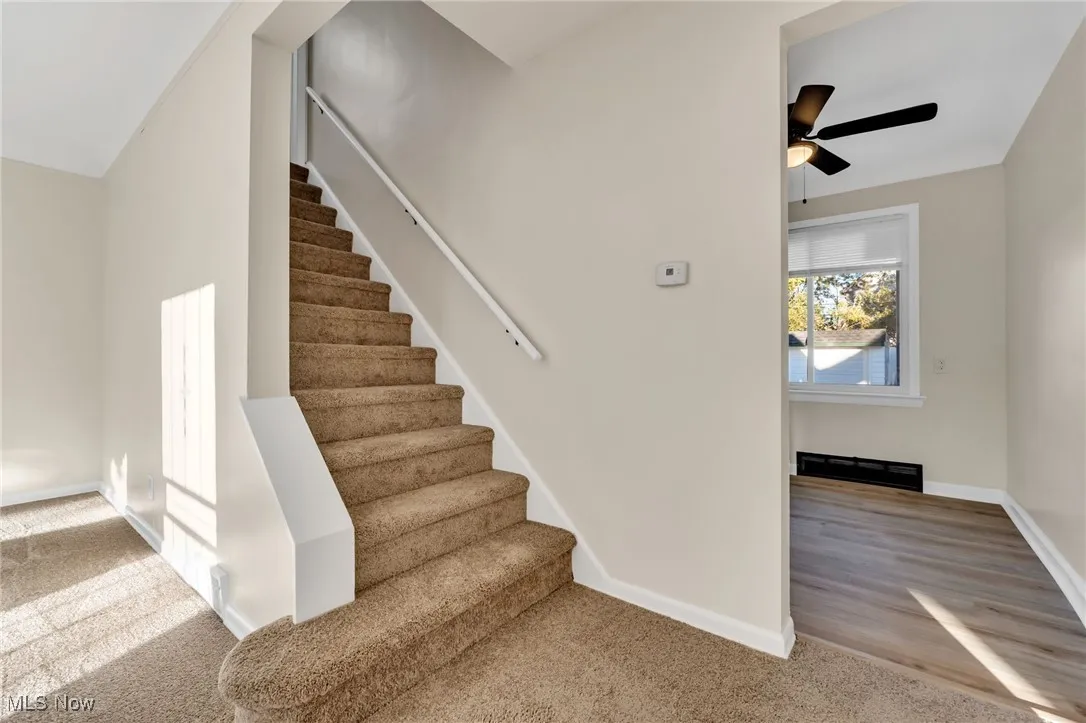 Stairway featuring carpet and a ceiling fan