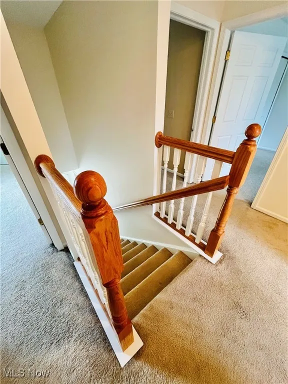 Stairs with carpet flooring