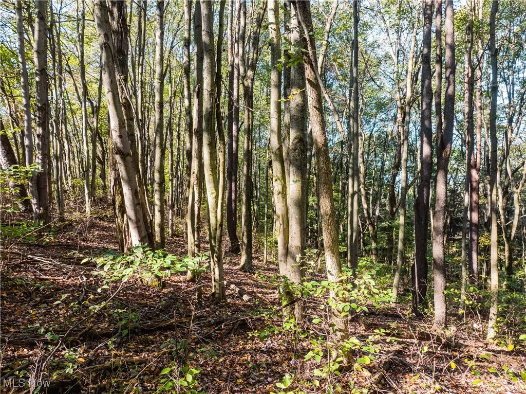 6006 Echo Lake Road, New Philadelphia, Ohio 44663,MLS Now Listing ID