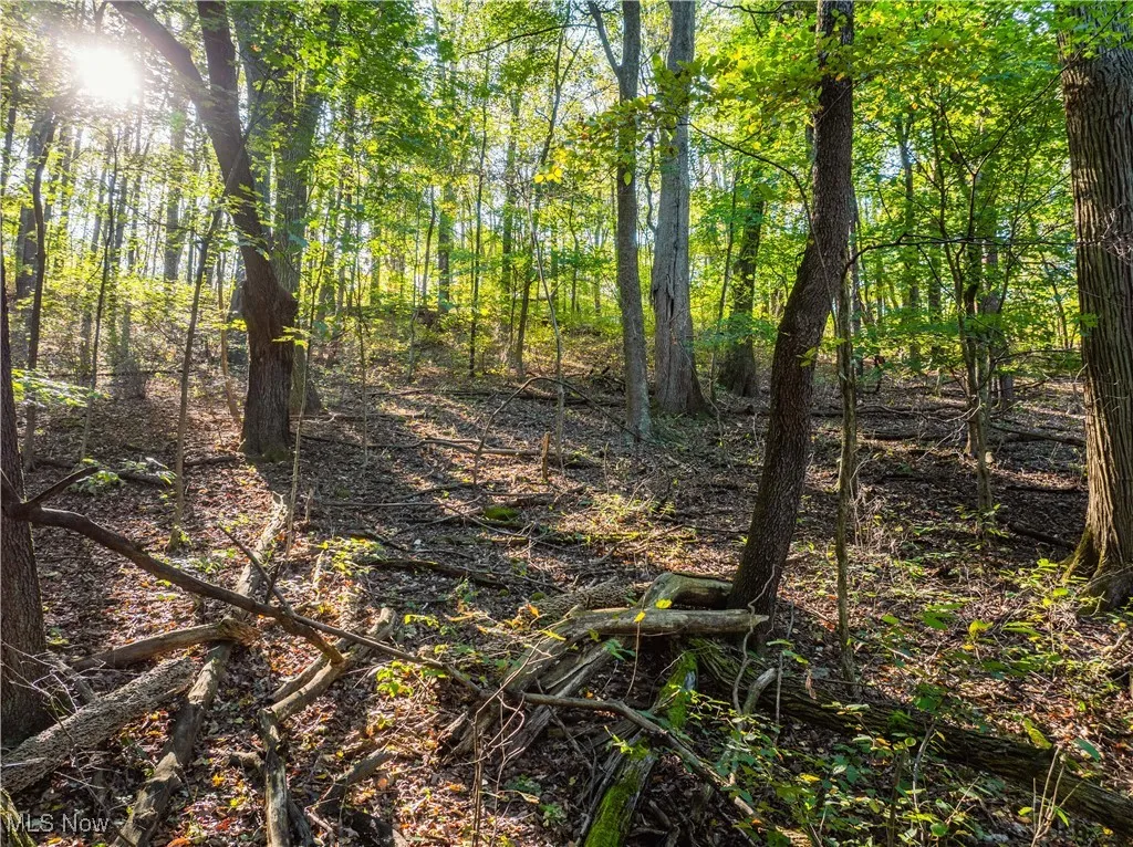 6006 Echo Lake Road, New Philadelphia, Ohio 44663,MLS Now Listing ID