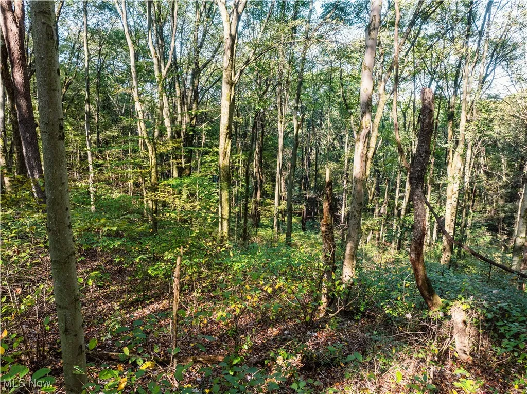 6006 Echo Lake Road, New Philadelphia, Ohio 44663,MLS Now Listing ID