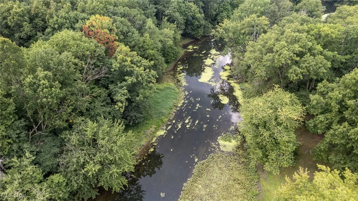 View of property location featuring a large body of water and a heavily wooded area