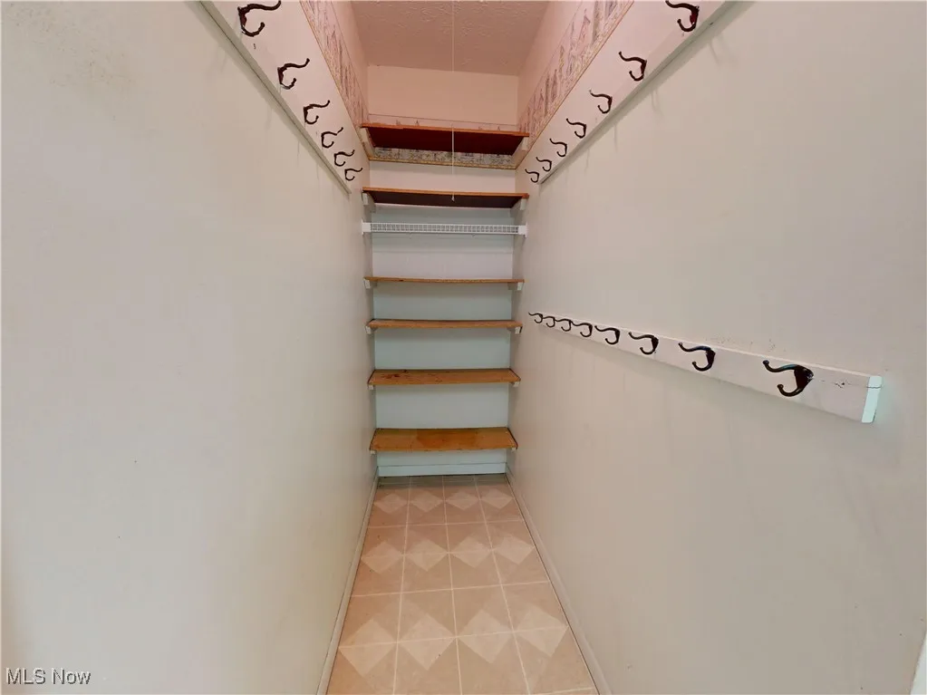 View of spacious  pantry closet