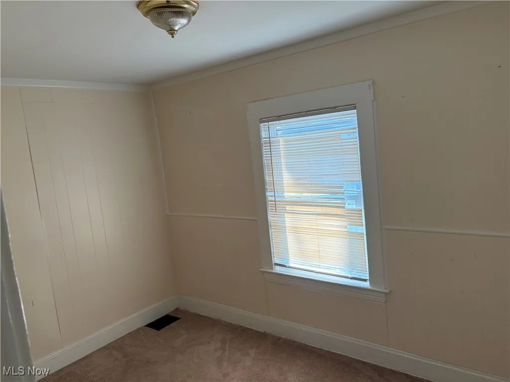 Spare room featuring wood walls and carpet floors
