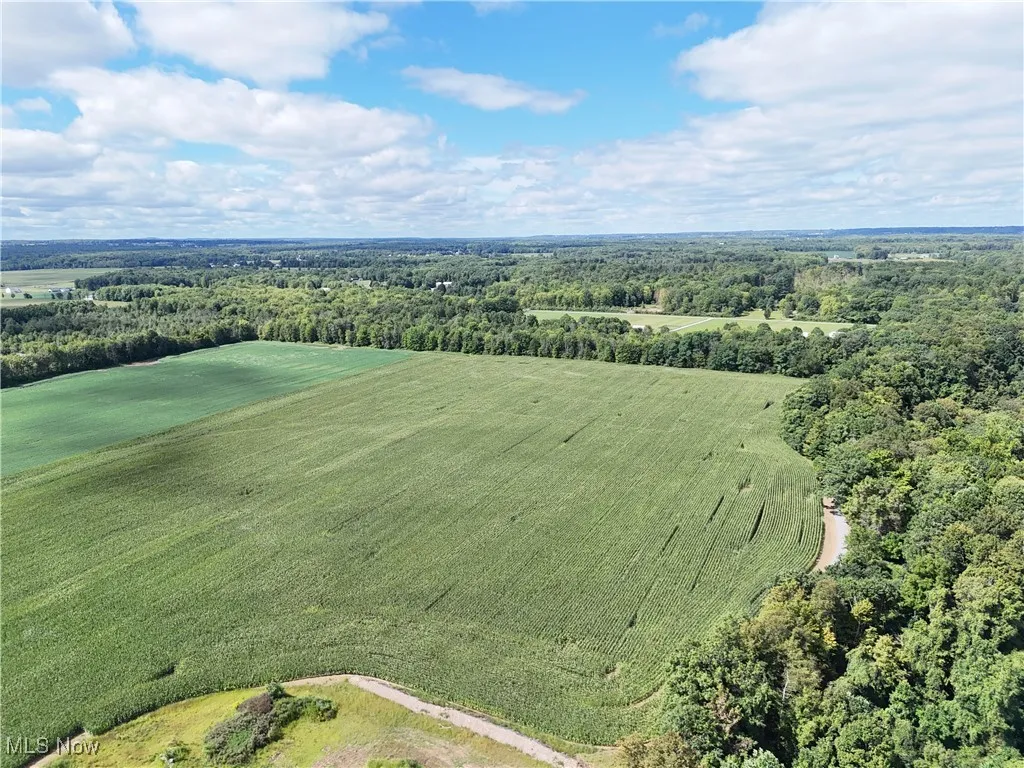 Aerial view of sparsely populated area with farmland