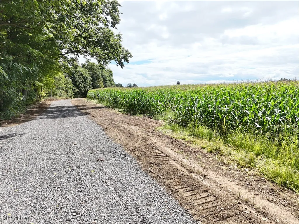 View of dirt / gravel road featuring a rural view and agricultural area
