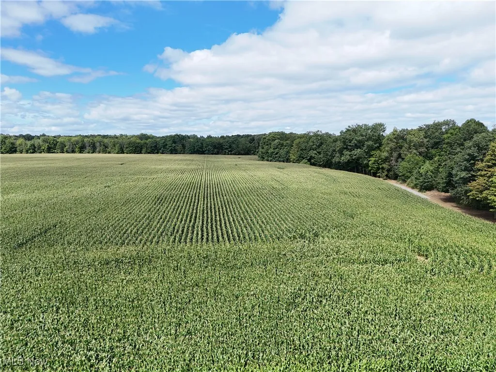 View of grassy yard featuring agricultural plots and a view of countryside