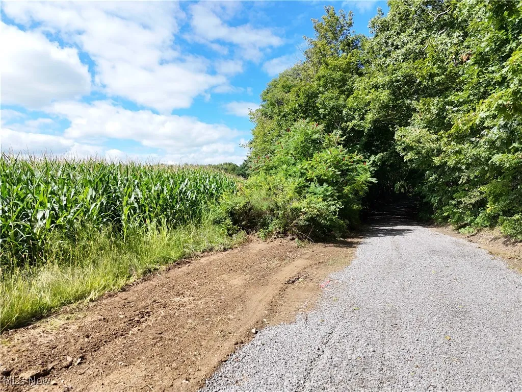 View of dirt / gravel road