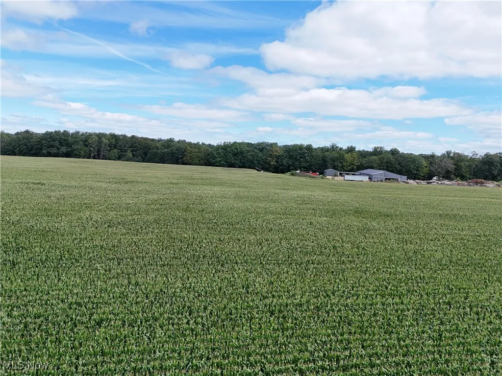 View of grassy yard featuring a view of rural / pastoral area
