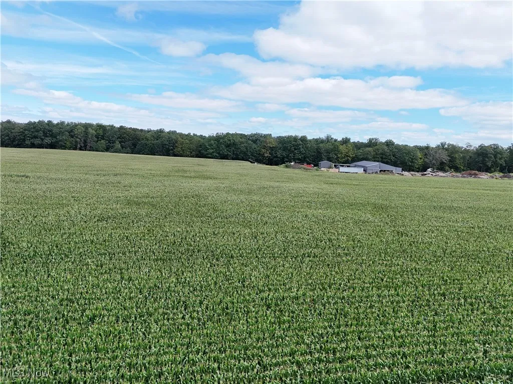 View of green lawn featuring a view of countryside