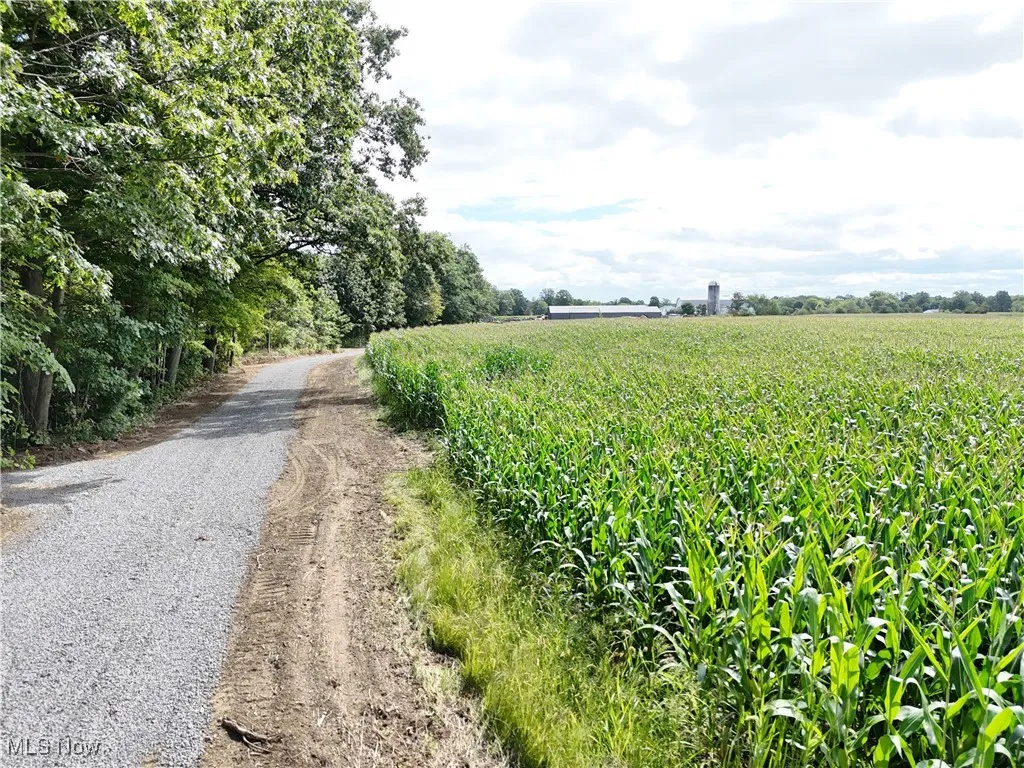 View of dirt / gravel driveway with a view of countryside and agricultural area
