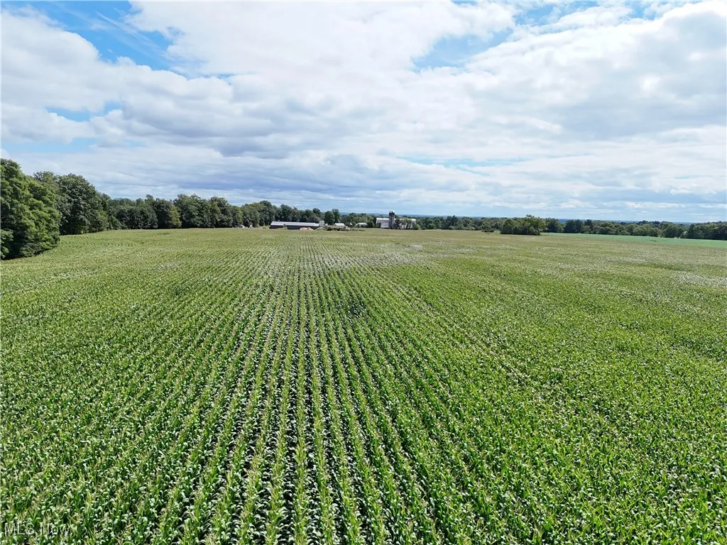 View of green lawn featuring agricultural area and a rural view