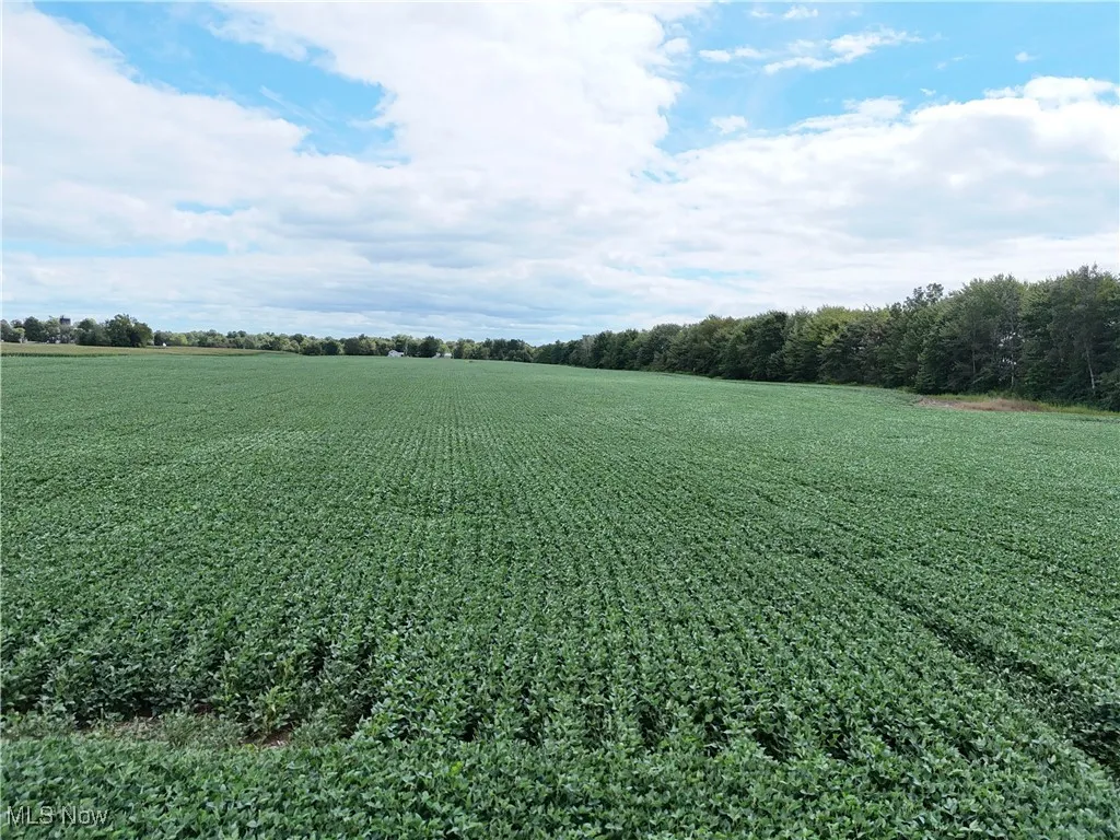 View of grassy yard with agricultural area and a view of rural / pastoral area