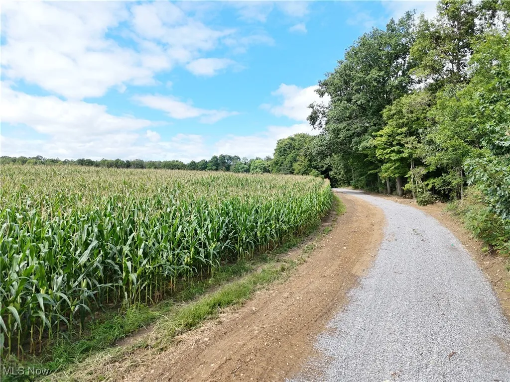 View of dirt / gravel road featuring agricultural area and a view of rural / pastoral area