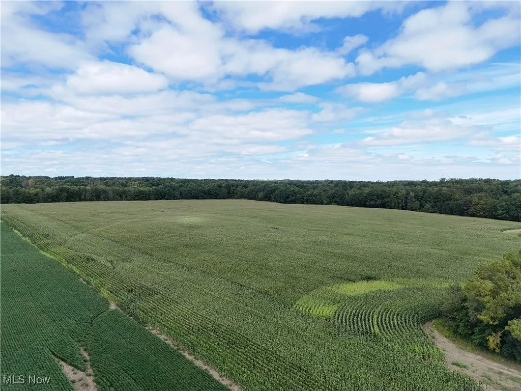 Aerial view of sparsely populated area with rows of crops
