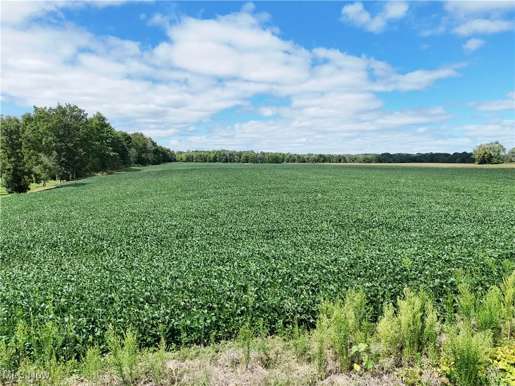 View of local wilderness with extensive farmland and rural landscape