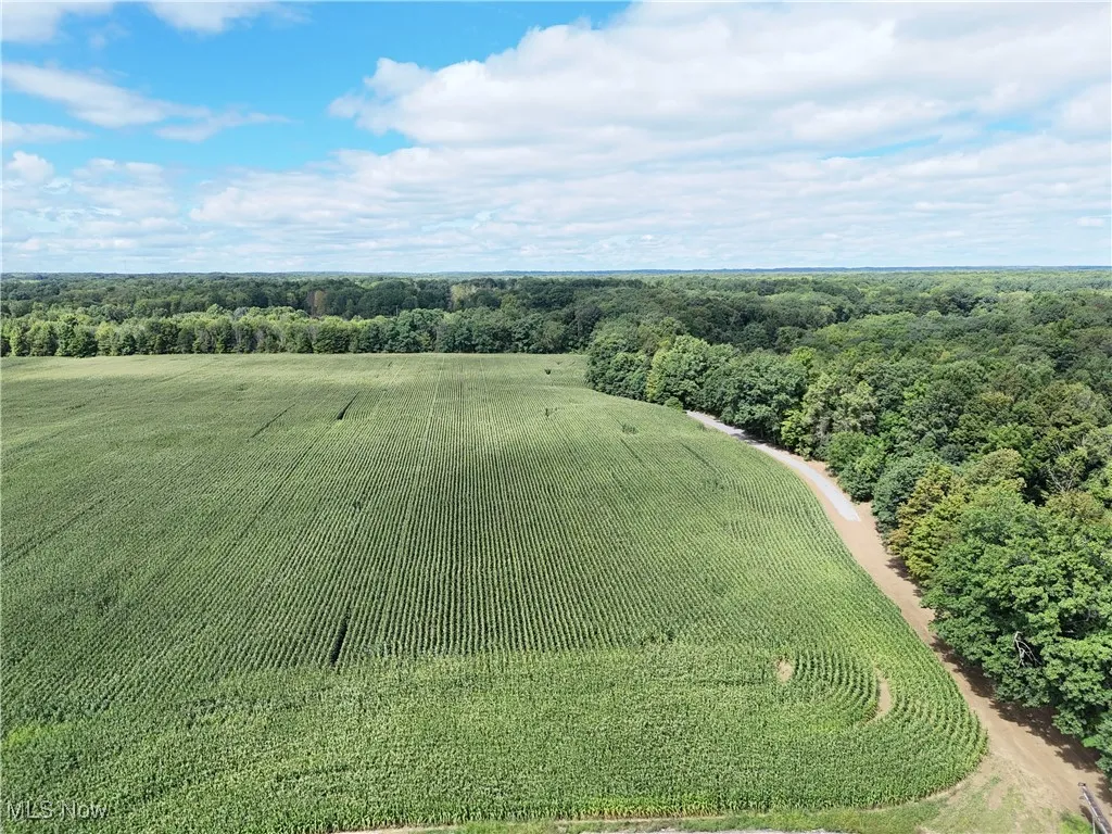 Aerial view of sparsely populated area with rows of crops