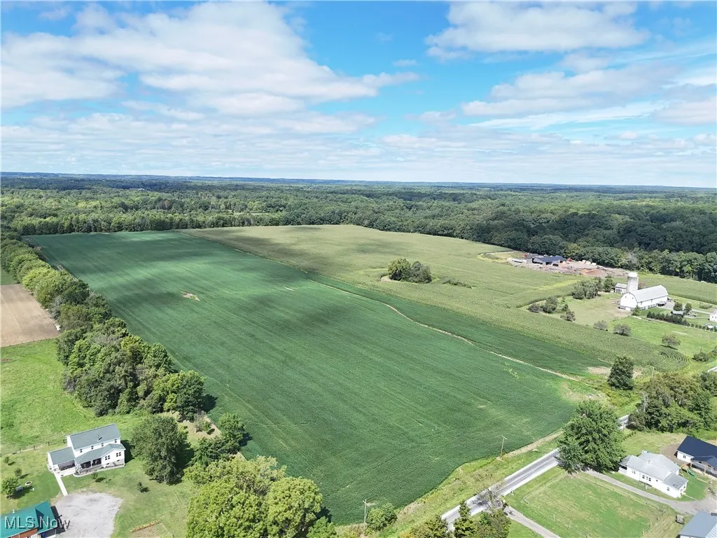 Aerial view of sparsely populated area with a forest