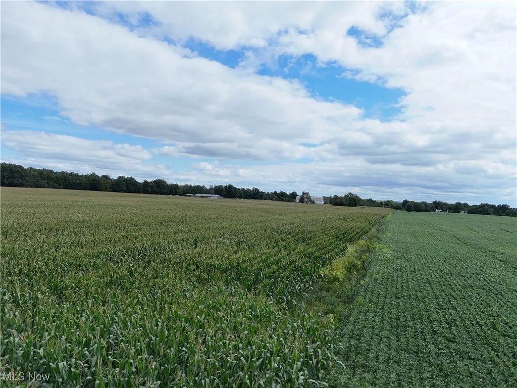 View of green lawn with agricultural plots and a view of rural / pastoral area