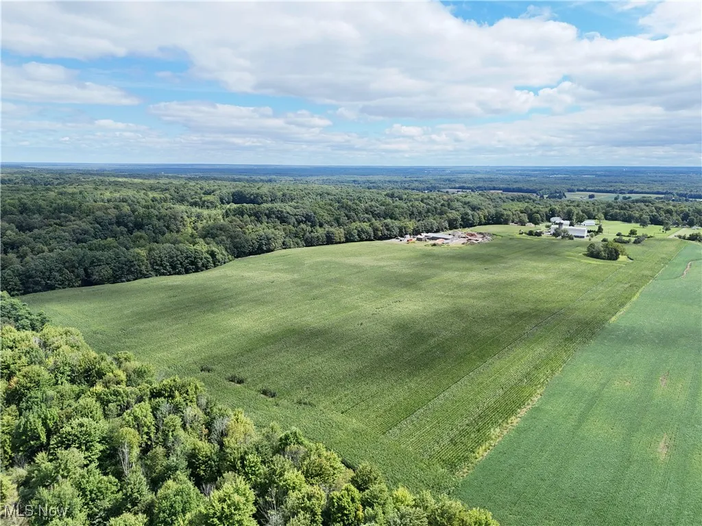 Aerial view of sparsely populated area featuring a forest and rows of crops