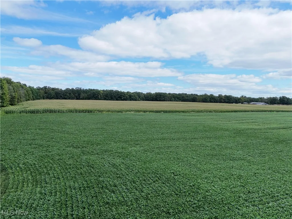 View of undeveloped land featuring rural landscape