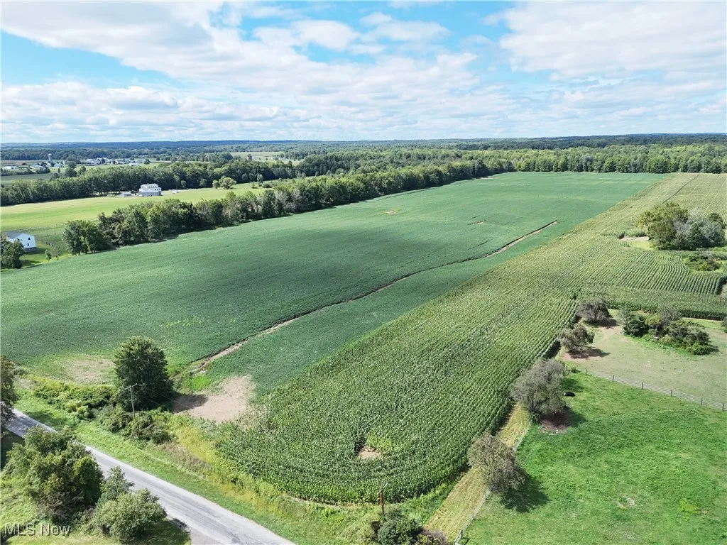 Overview of rural landscape featuring farmland