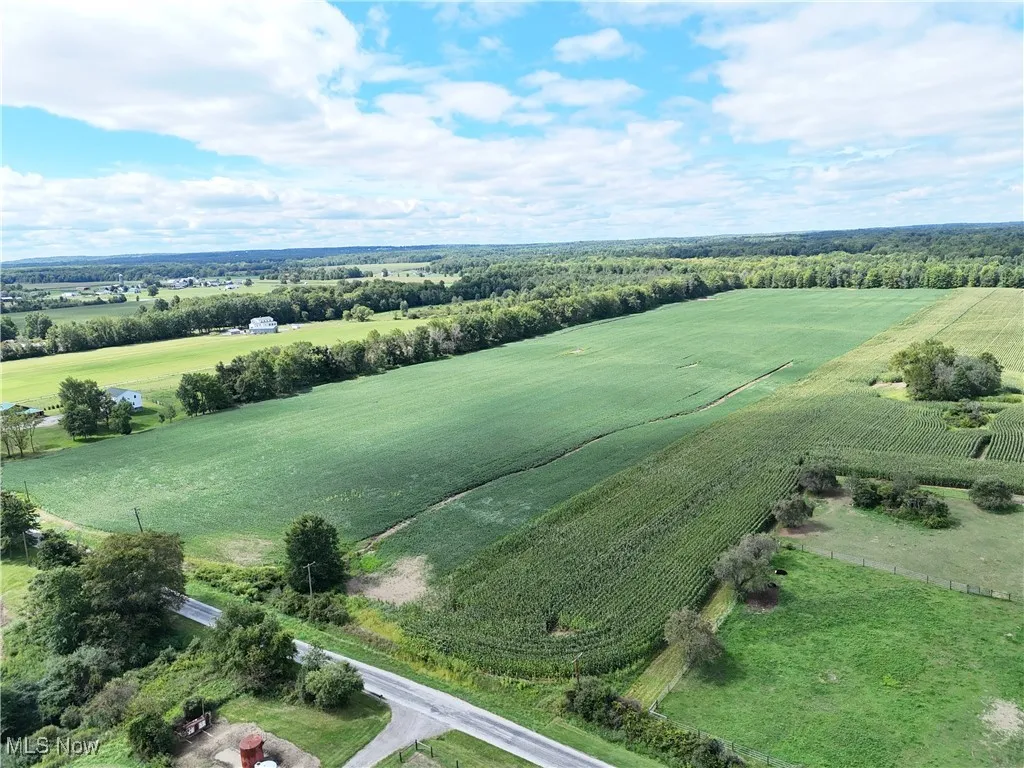 Overview of rural landscape with rows of crops