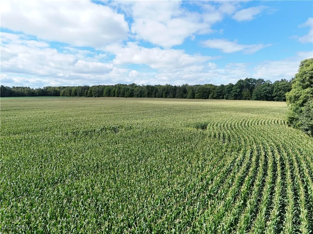 View of yard with agricultural area and a rural view