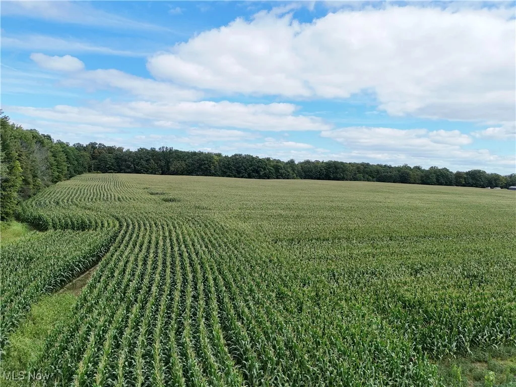 View of nature featuring abundant farmland and rural landscape