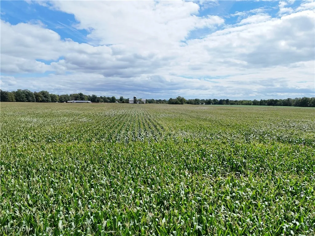 View of yard featuring agricultural plots and a view of countryside