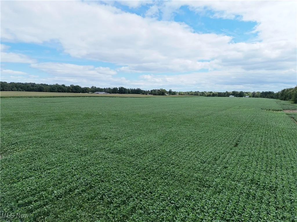 View of yard featuring a view of countryside