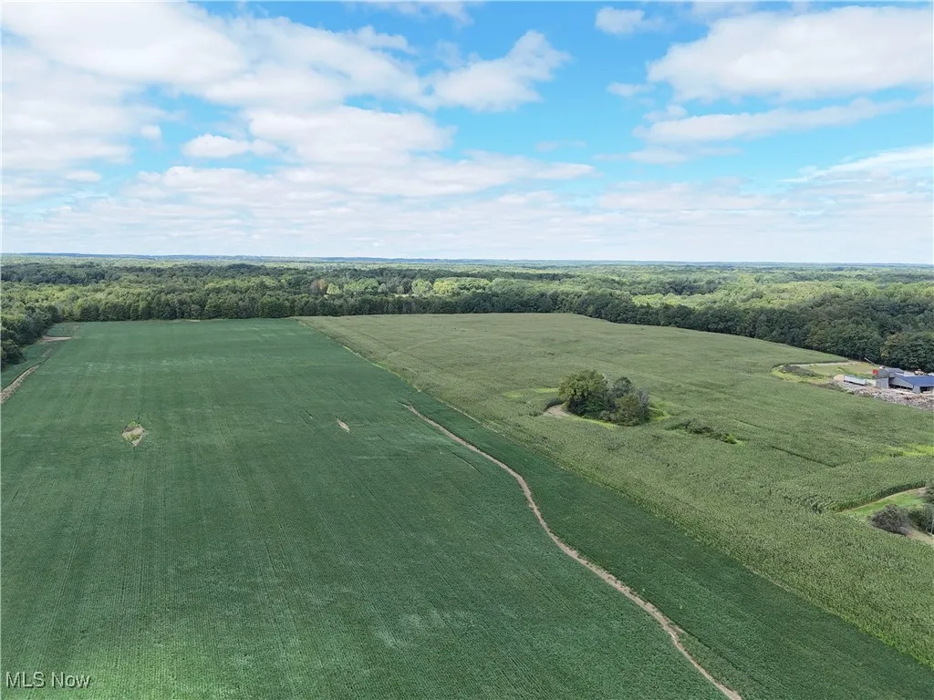 Overview of rural landscape