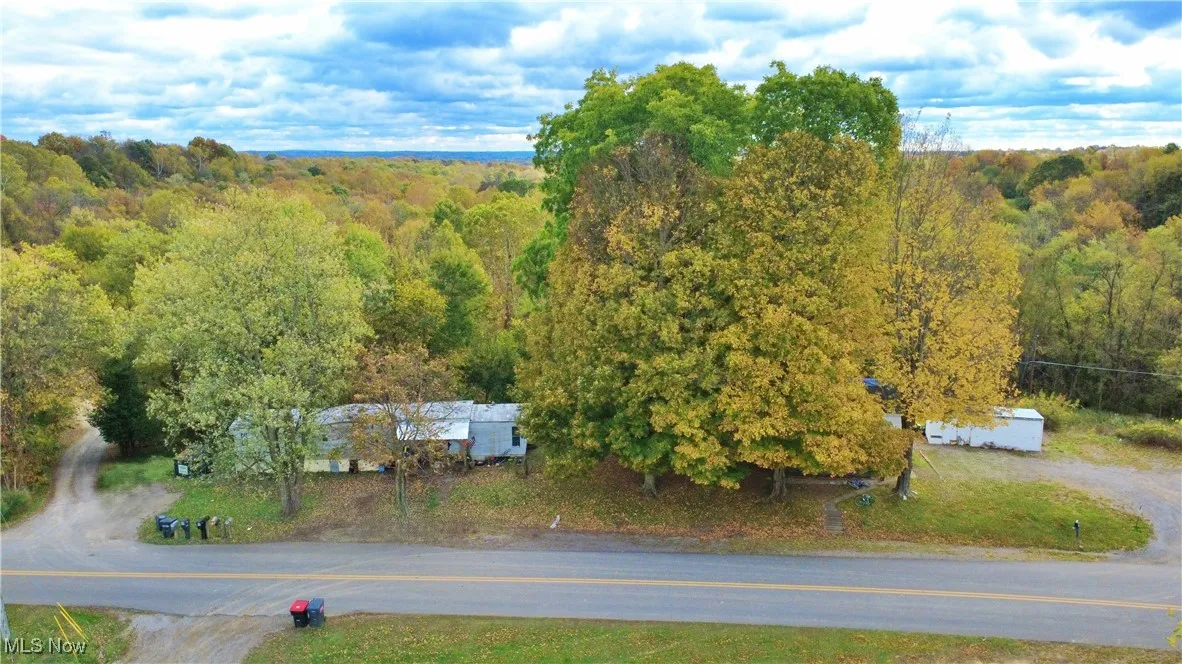 Bird's eye view of a forest