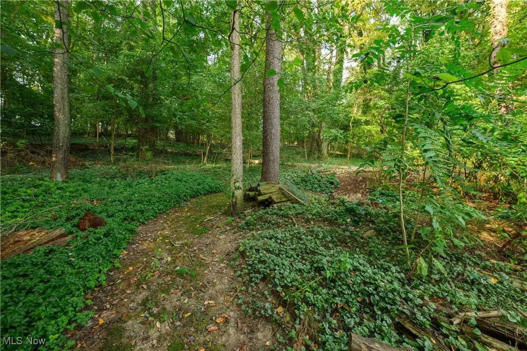 View of yard featuring a wooded view